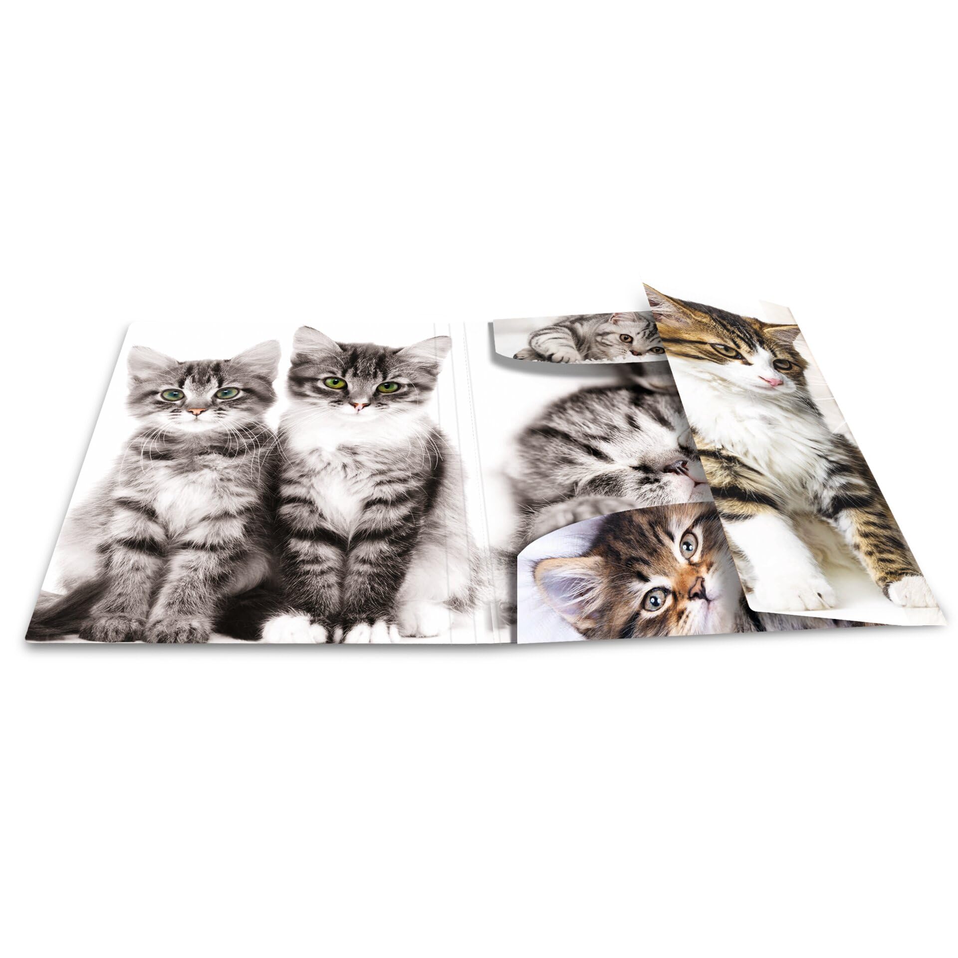 HERMA 7143 Portfolio Folders A3 Animals Cats, Pack of 3, Children's Plastic Corner Folder with Inner Print and Elastic Band - Image 3