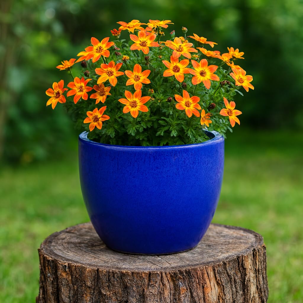Steinzeug-Blumentopf/Pflanzkübel Eiertopf Blau 36x30cm frostfest