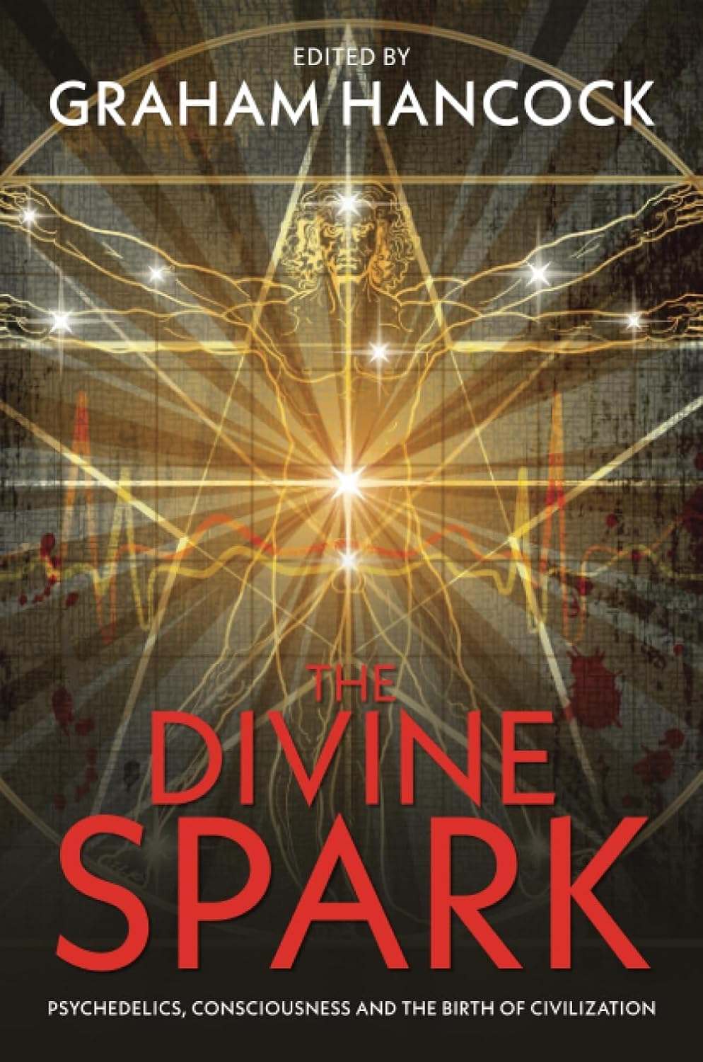 The Divine Spark (Paperback Book)