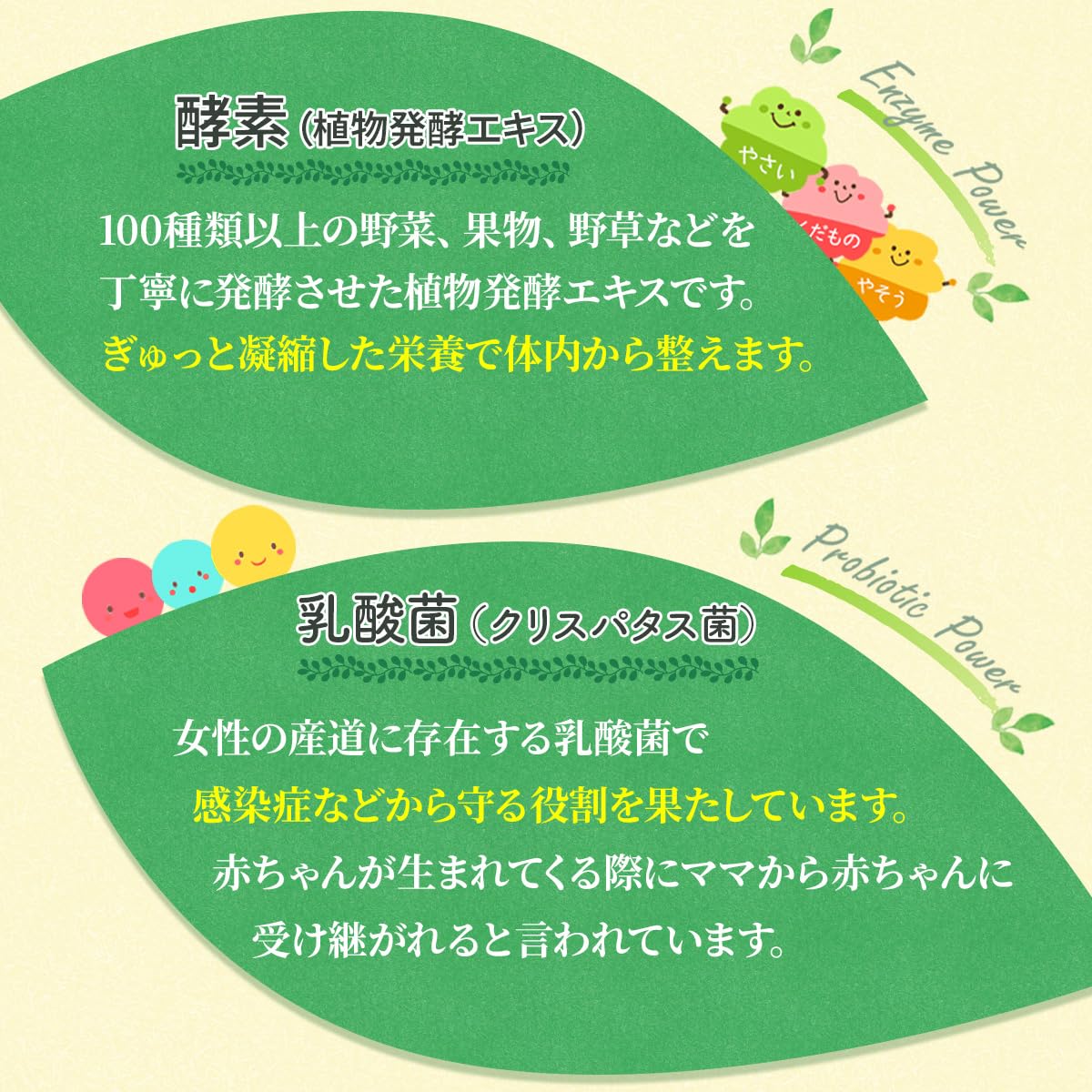 Amazon | 【葉酸480㎍×植物発酵エキス109種】アンジェエール 妊活