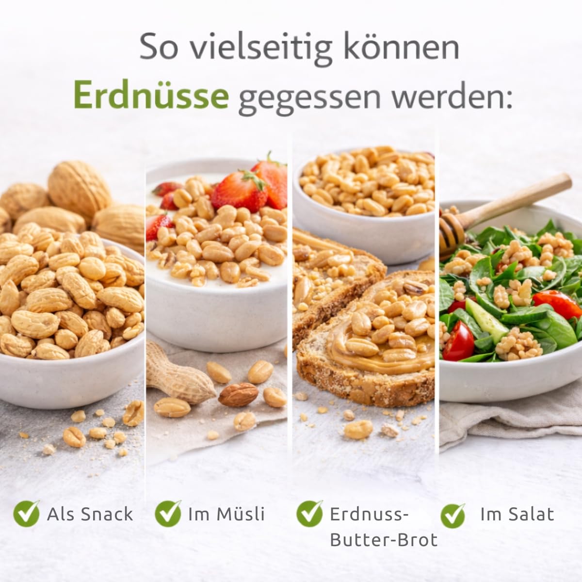 Jumbo Erdnüsse Blauer Elefant 2,5 kg – frisch geröstet, aromatisch & knackig