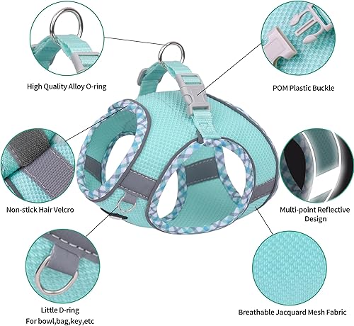 Miniatura 2 de AIITLE Arnés para perro pequeño, arnés sin tirones con correa para mascotas, arnés ajustable para perro con malla transpirable, chaleco reflectante