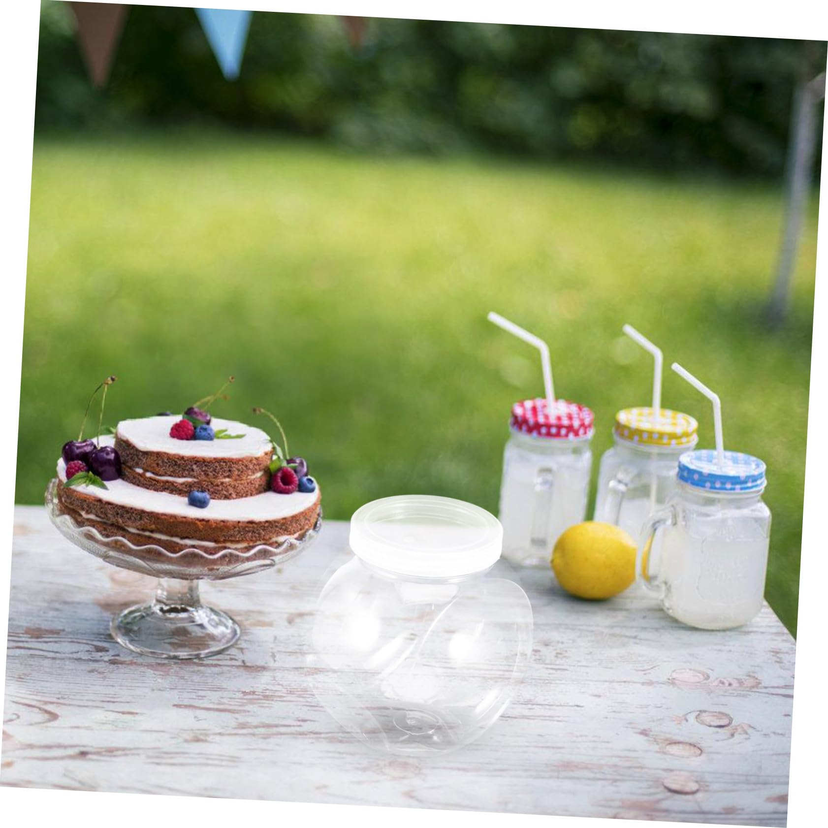 LABRIMP 4 Pezzi Barattoli Rotondi in Plastica Trasparente con Ermetico per Dolci Snack Cibo per Animali e Detersivi Contenitori Leggeri e Facili da Pulire per Cucina e Viaggio