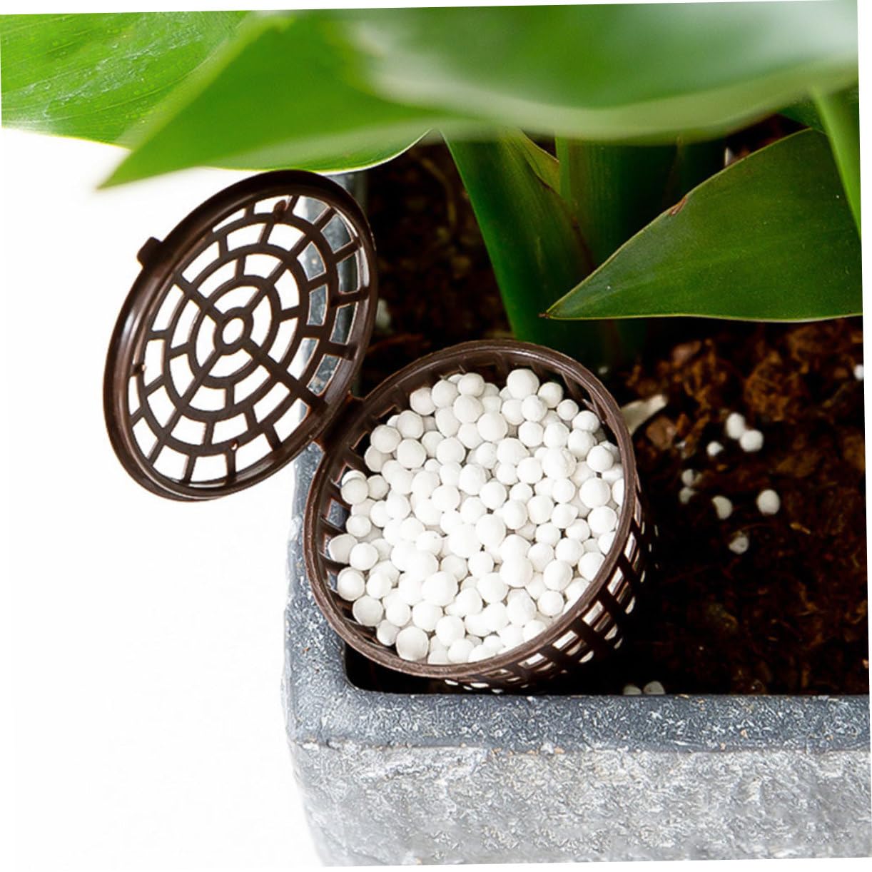Milisten 2 Ensembles Boîte Engrais Pour Bonsai Couvercle Pour Jardinage Pratique 100 Pièces * 2