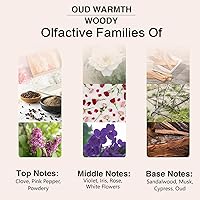 Vista 110 de PHATOIL 100ml de aceites de fragancia de manzana para aromaterapia, aceites esenciales para difusores para el hogar, perfectos para difusor, yoga