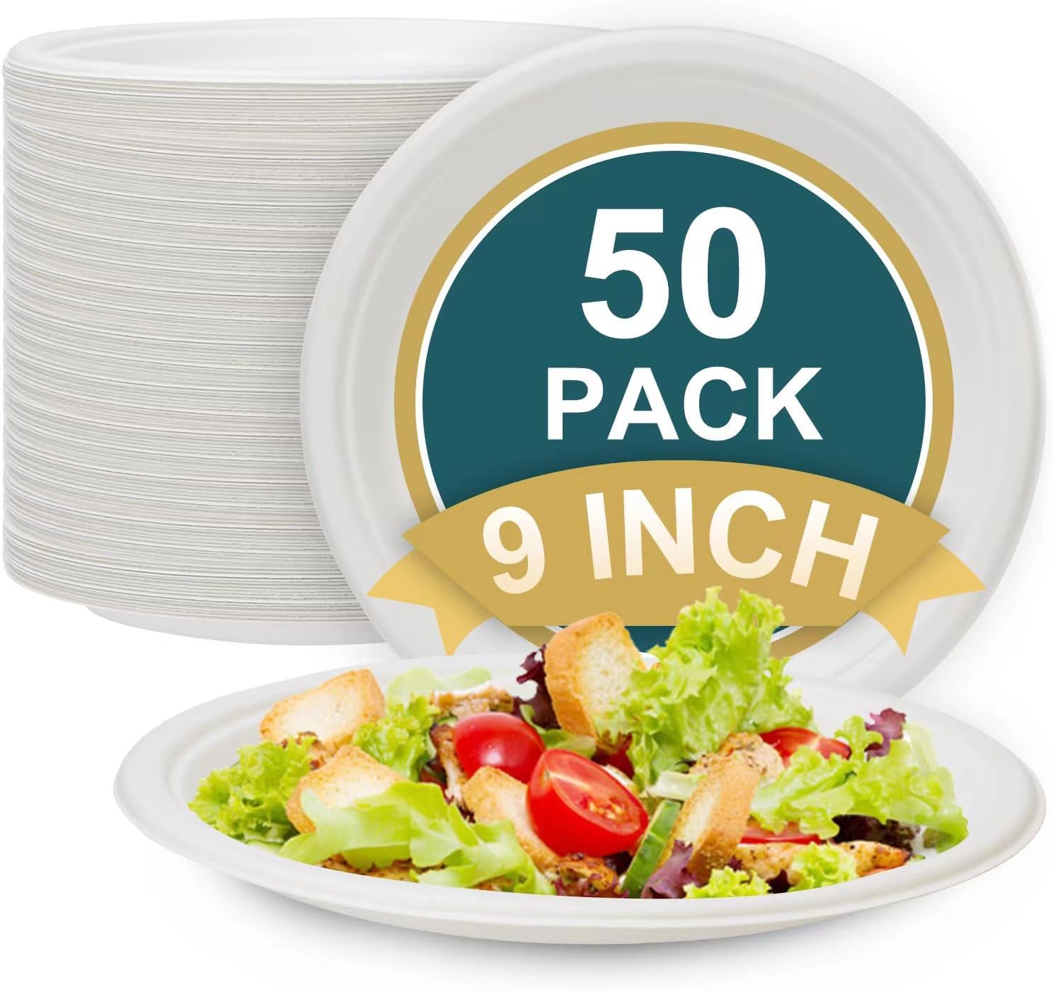 Vplus 100 Compostable Paper Plates, 500 Pack 10 Inch 3