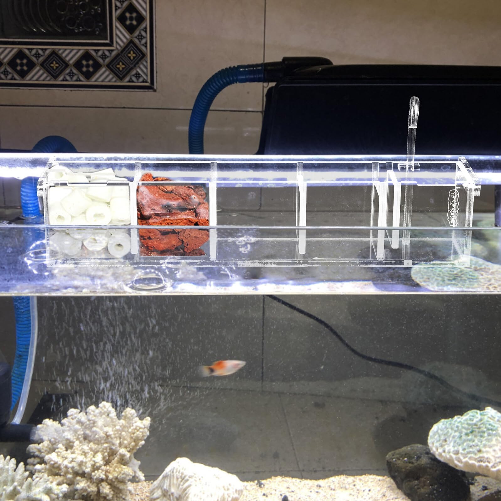 DOITOOL Transparente Aquarium Filter Kasten aus Acryl Multifunktionaler Hängefilterkasten mit Schneller Schadstoffentfernung Einfache Struktur für Heim Aquarien und Fischbecken