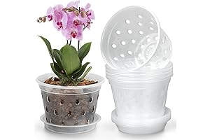 Clear Plastic Orchid Pot