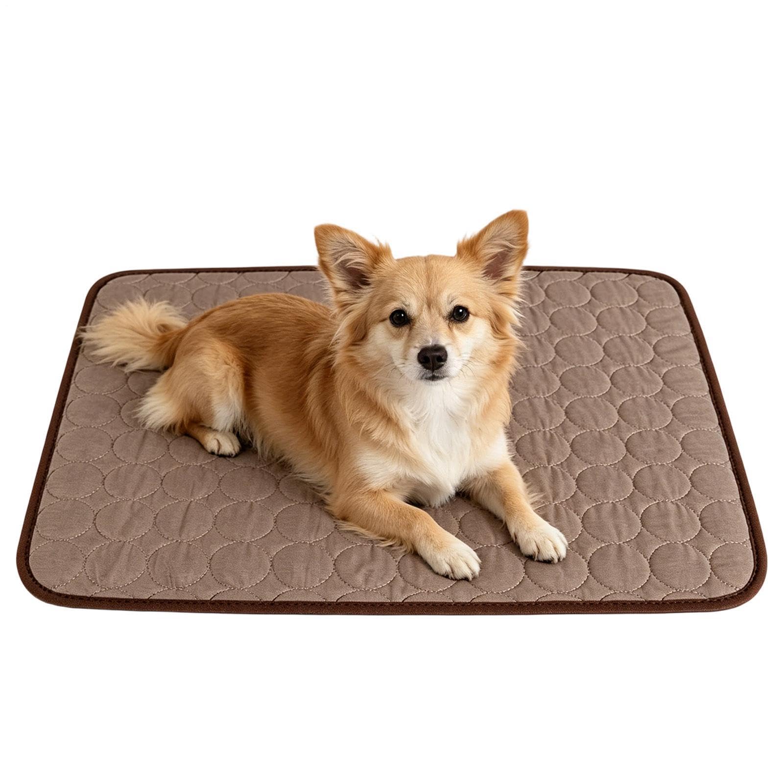 Tappetino Rinfrescante per Cani Lavabile Traspirante Portatile Seta | Materassino Rinfrescante Per Cani Da Interno su Divano Auto Canile, Razze Piccole Medie Grandi