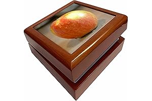 3D Rose Delicious Apple Photography Jewelry Box
