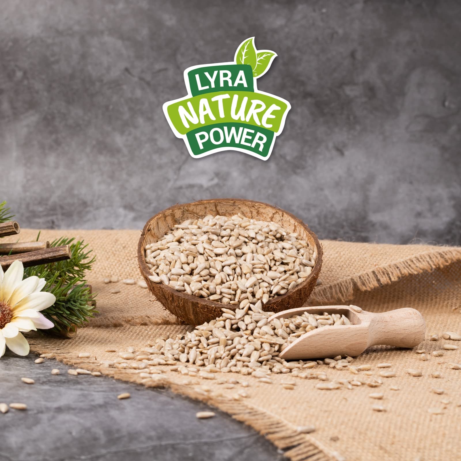 Lyra Pet® | 25 kg Sonnenblumenkerne Geschält | Vogelfutter für das Ganze Jahr | Premium Wildvogelfutter | Idealer Energiespender für Sommer und Winter | Vogelstreufutter für Wildvögel | Ohne Schale