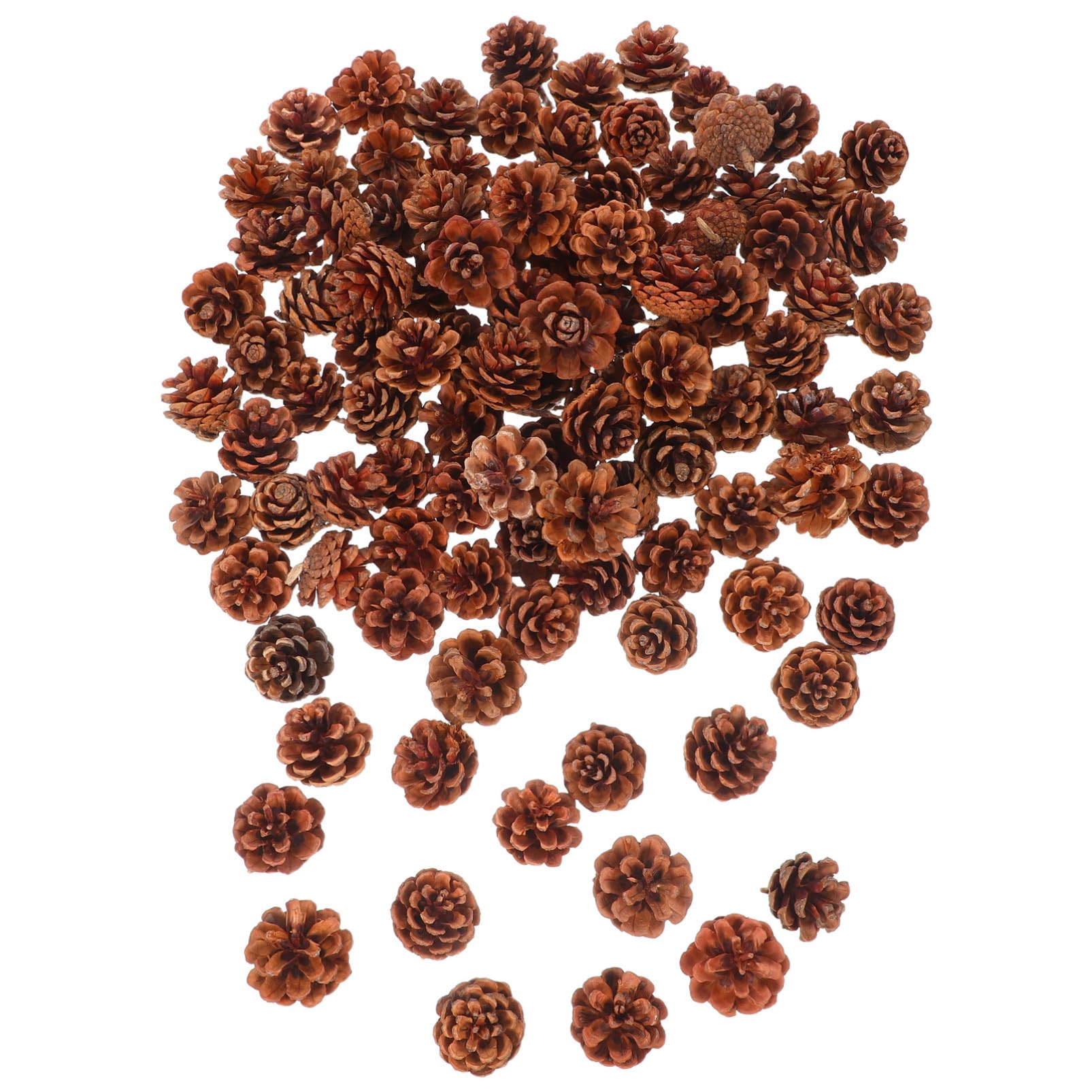 LIFKOME 130pezzi Pigne Decorative Naturali Mini per Decorazioni Autunnali Natalizie Invernali Riempitivi per Vasi Fai da Te Pigne