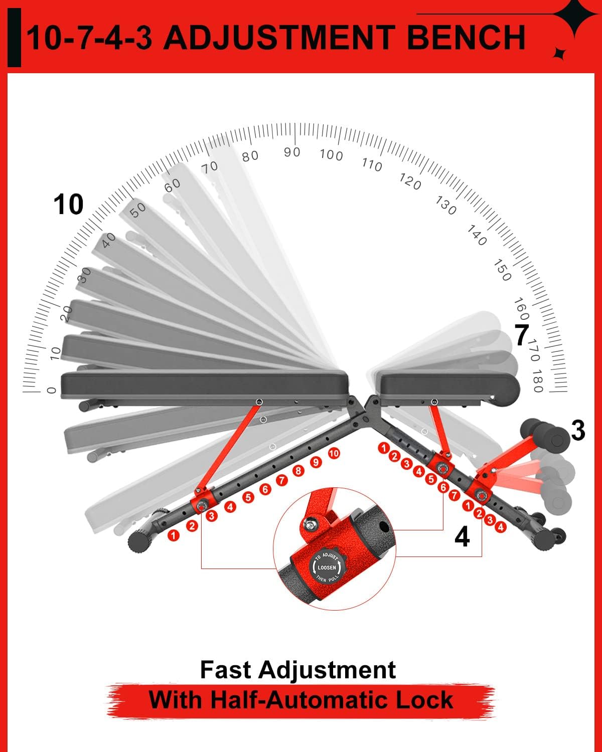 Buy BARWING 10743 Weight Bench Adjustable Exercise 800 LB Heavy