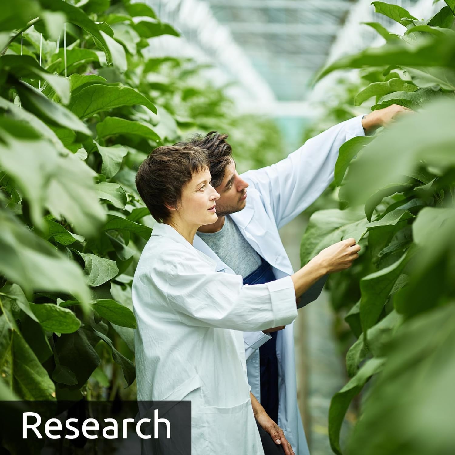 6-in-1 EarthScout Soil Cub Commercial Grade Precision Soil Moisture Meter: Soil Moisture/Soil Temp/Soil EC/Air Temp/Humidity. Irrigation:Farm,Golf,Orchard,Nursery,Garden,Landscape,Research,Education