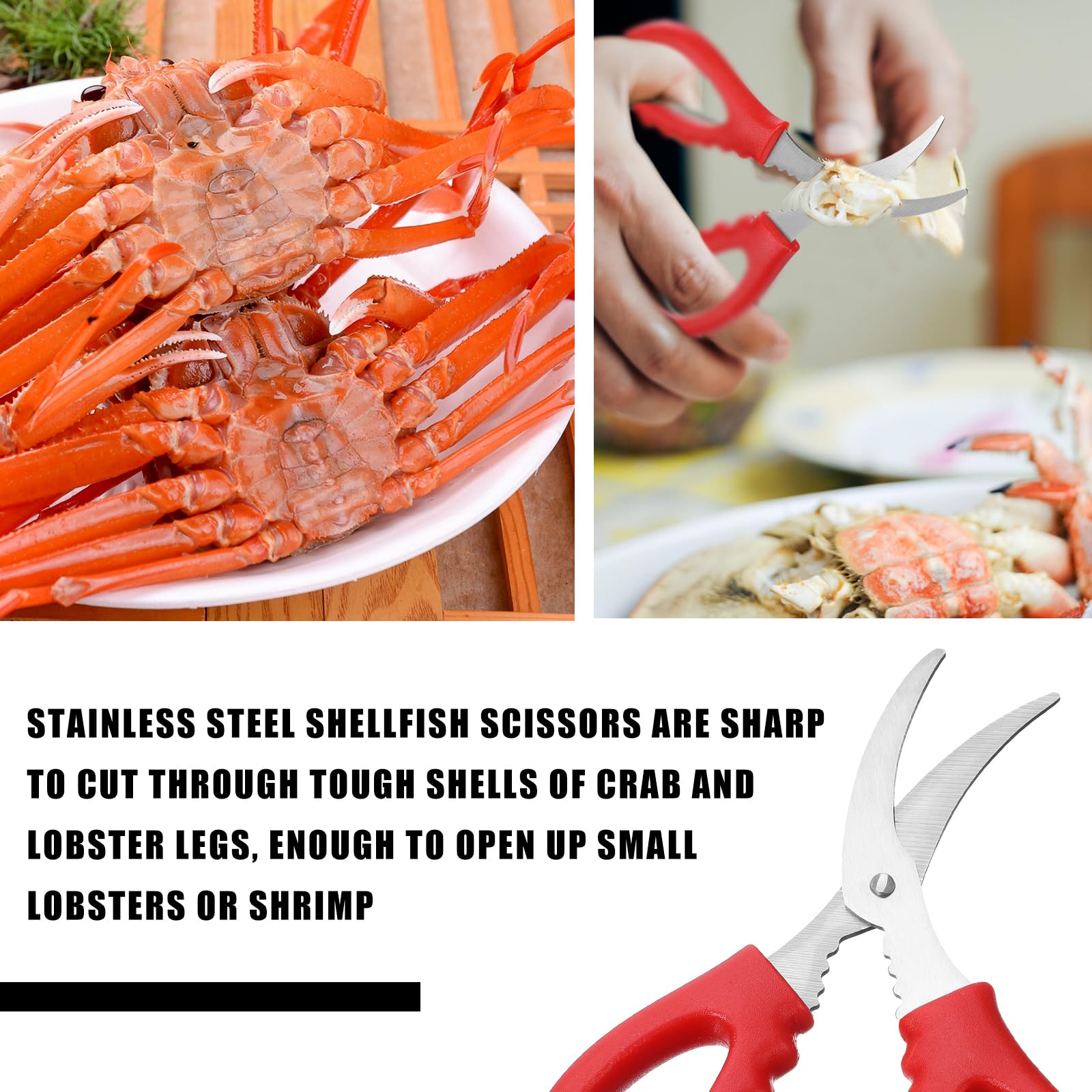 Dandat Juego de 125 herramientas de mariscos a granel, incluye 40 galletas de cangrejo, 40 tenedores de patas de cangrejo, 40 conchas de langosta, 2 tijeras de mariscos y 2 mazos de cangrejo de