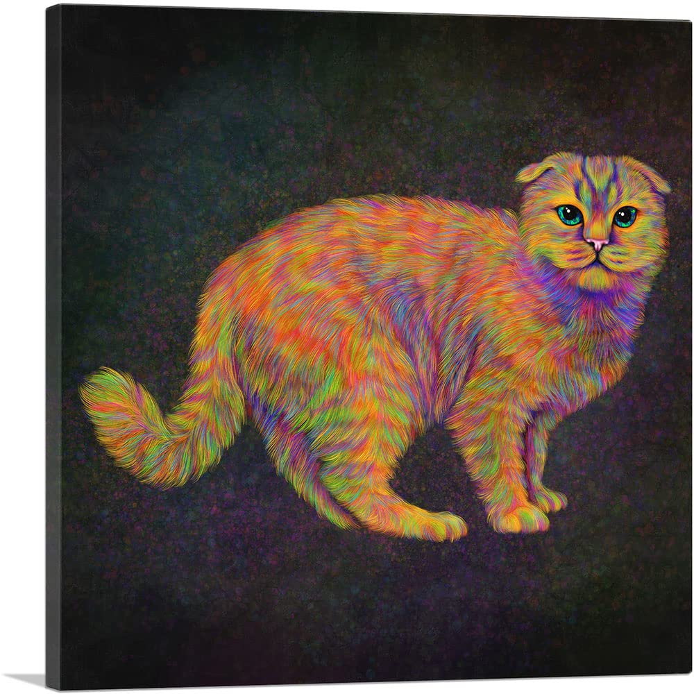 Amazon.com: ARTCANVAS Scottish Fold Scot Cat on Black Canvas Art