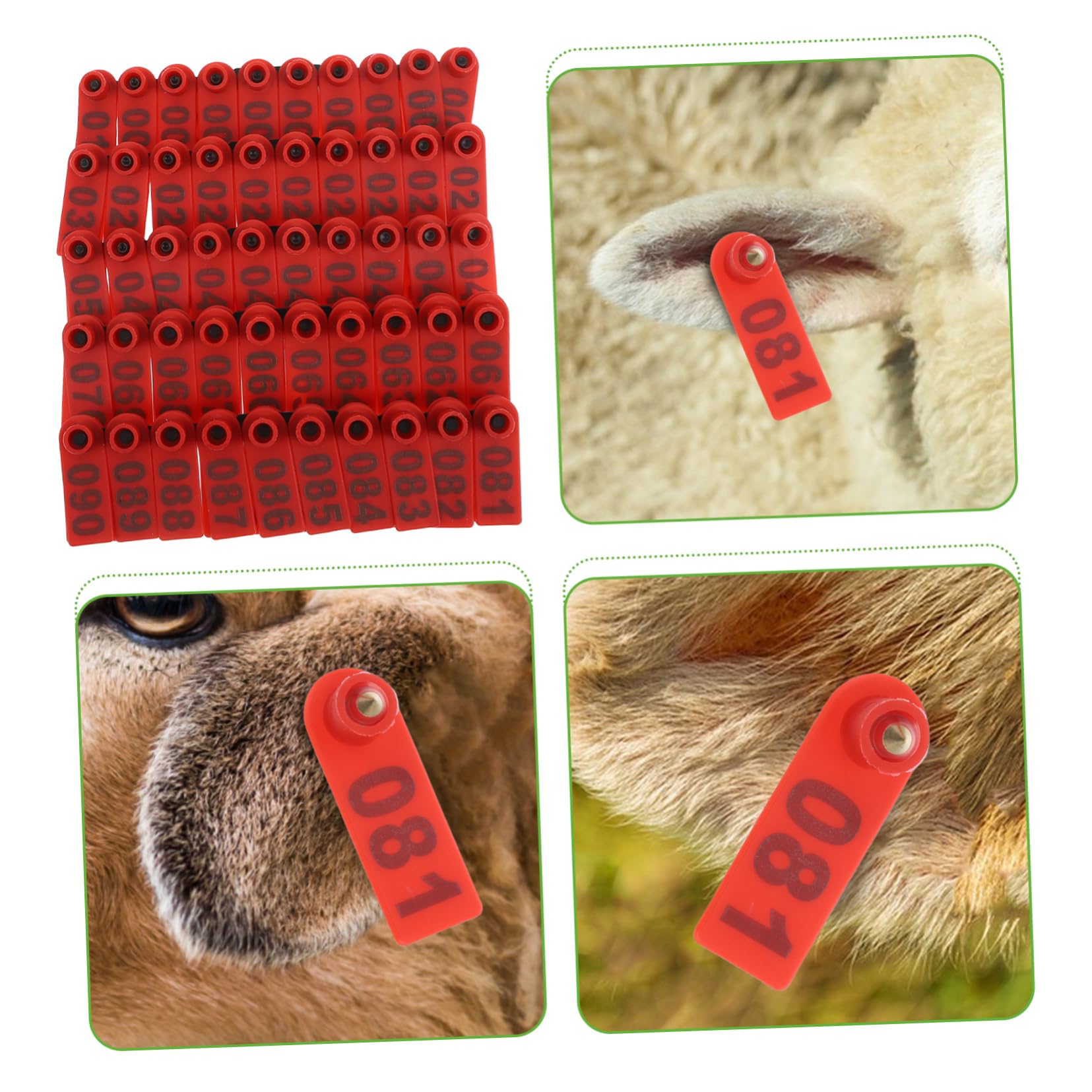 TOYANDONA 100pièces Boucle Auriculaire Numérotée Pour Identification Du Bétail Étiquette Auriculaire Plastique Pour Vaches Bovins Chèvres Et Moutons