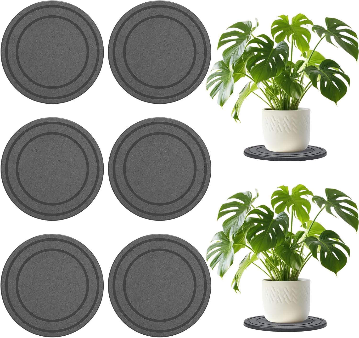 Gejoy 8 Inch 6 Pack Diatomaceous Earth Pot Saucers Plant Trays for Indoors No Holes, Diatomite Plant Drip Water Catcher Tray for Pots, Planter Drainage Saucers Plates to Catch Water, Deep Grey - Image 7