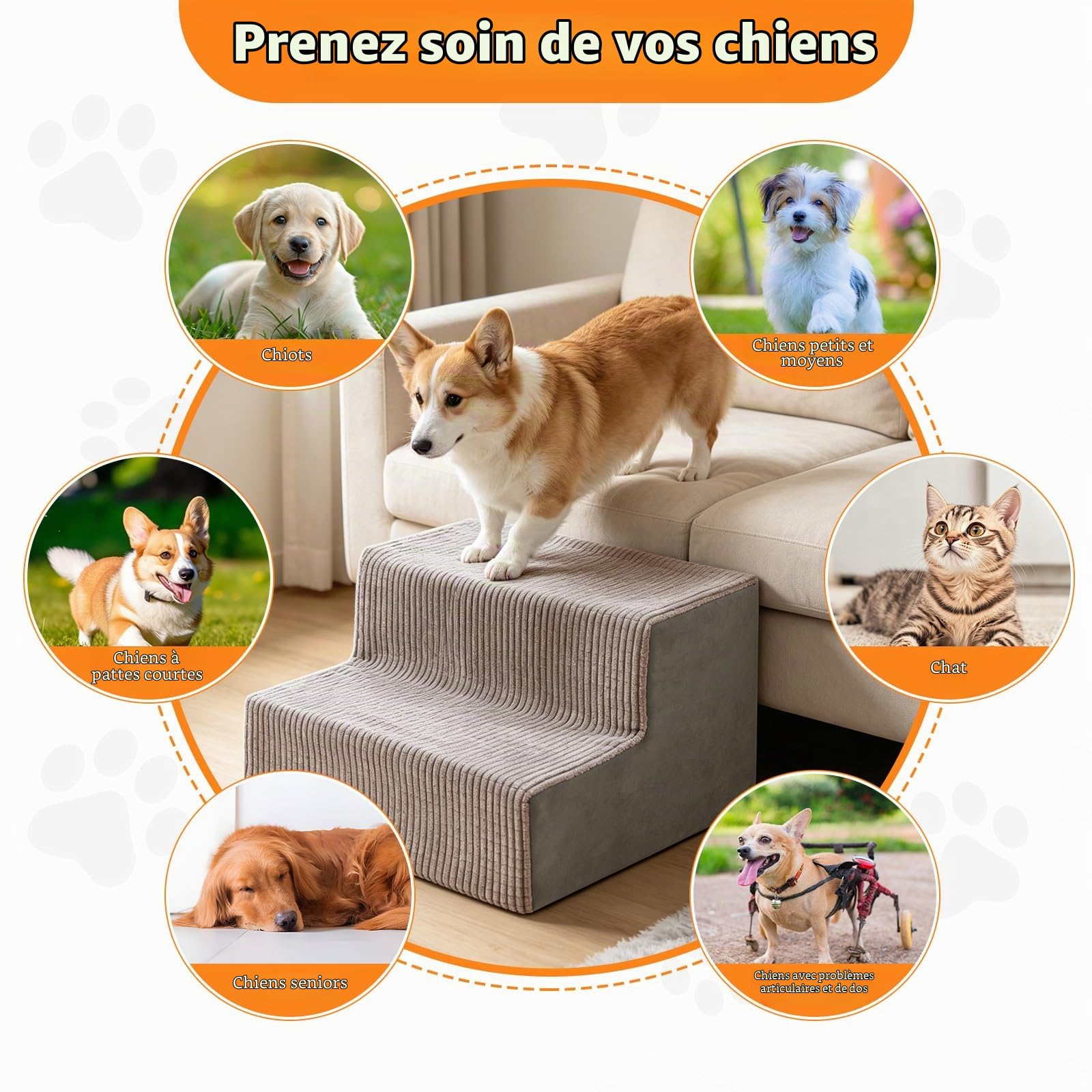 4 rampe d'escalier pour chien | Assistance d'escalier antidérapante pour chien remplie d'éponge élastique, rampes amovibles pour petits chiens âgés