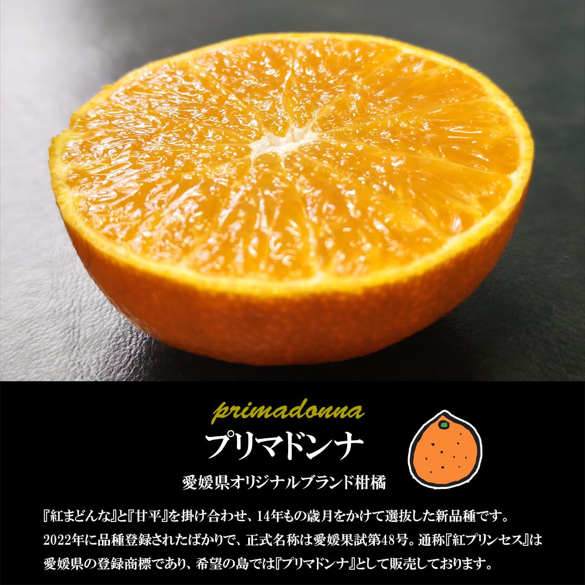 Amazon.co.jp: 希望の島 プリマドンナ 家庭用 サイズ込 紅プリンセスと