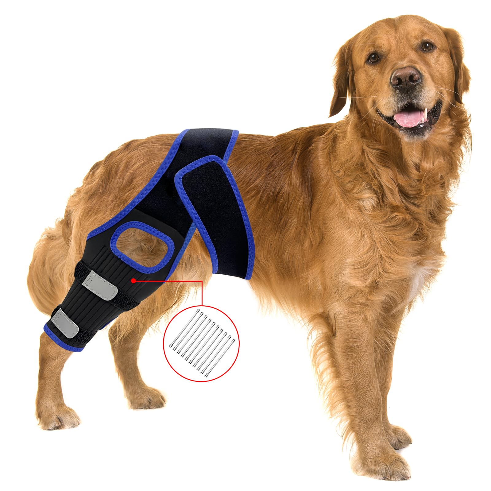 AwaeIpet Dog Knee Brace Leg ACL: Dogs Hind Joint Support for Rear Cruciate Ligament Pain Torn (Medium)