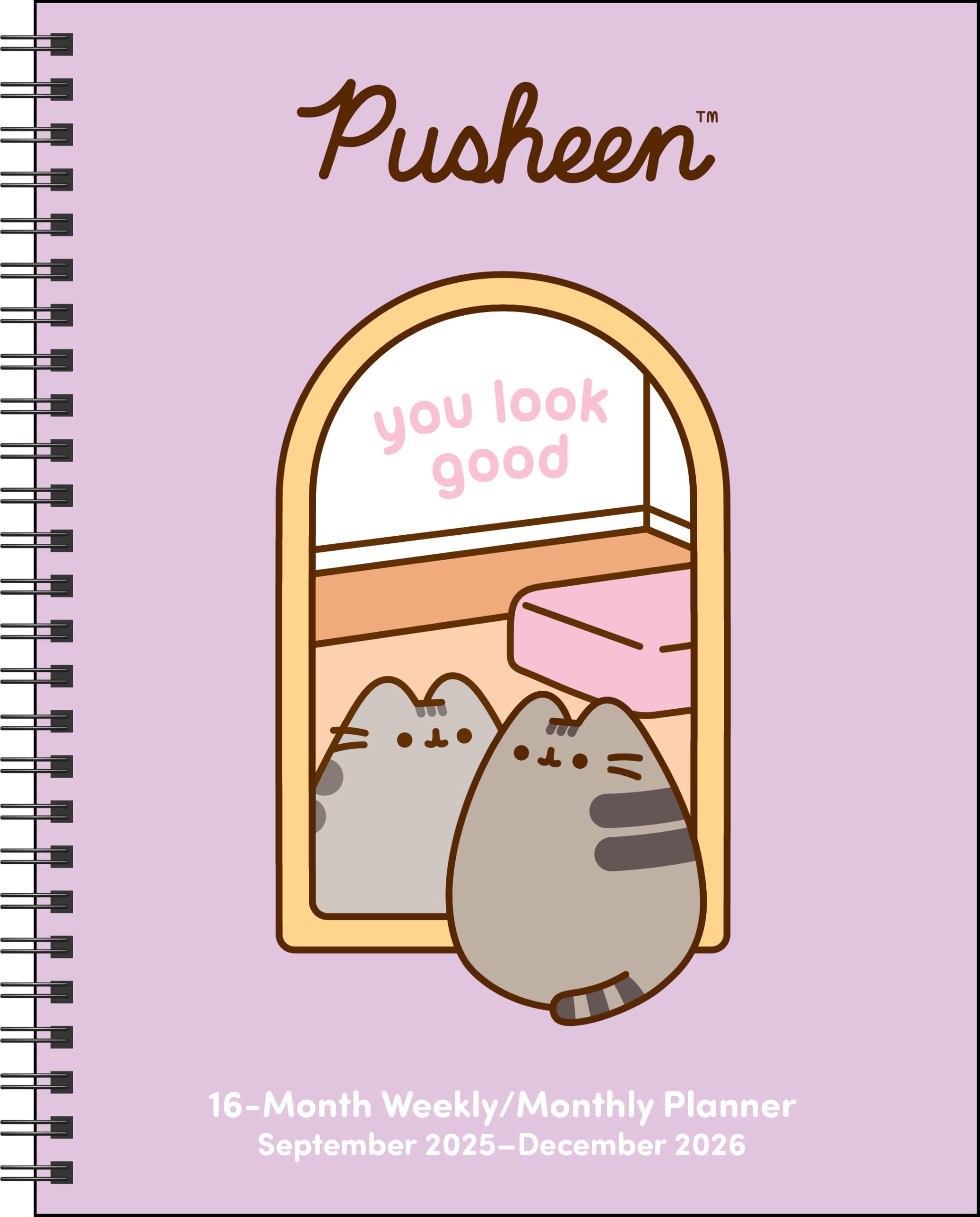 Pusheen 16-Month 2025-2026 Weekly/Monthly Planner Calendar: You Look Great