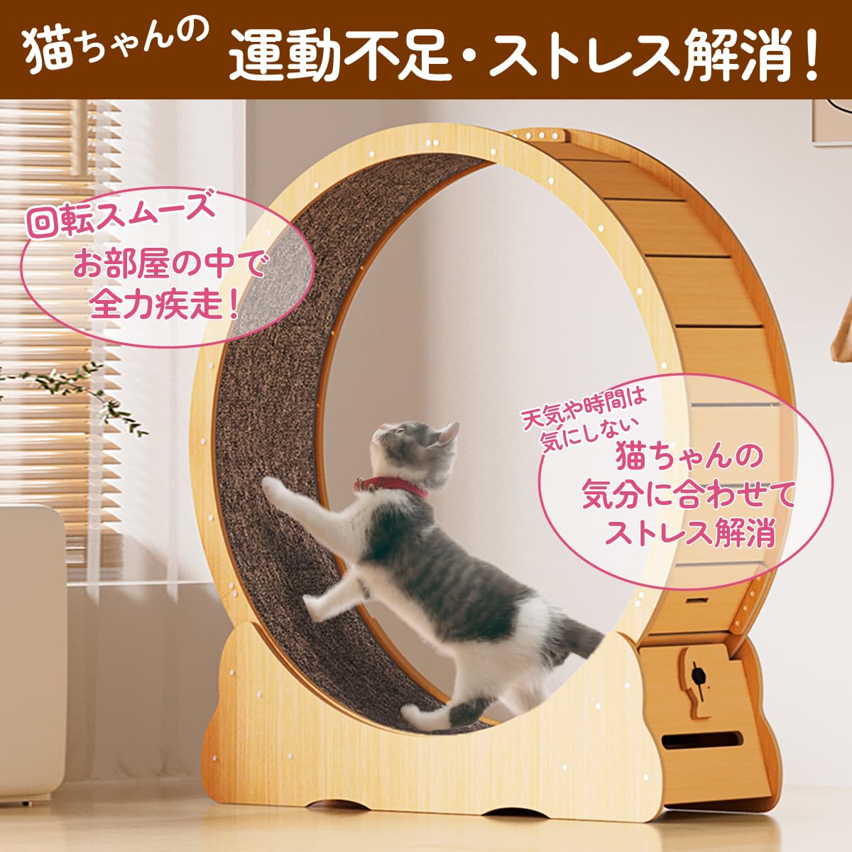 Amazon | Ciaobot キャットホイール 猫用 組み立て式 直径 90cm～130cm
