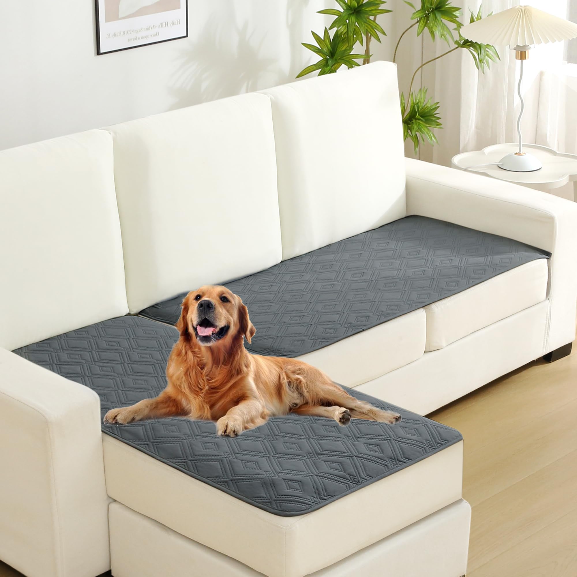 Housse De Lit Imperméable Whychstore Pour Chien Et Chat - Tissu Oxford 210D Lavable, Protection Extérieure Parfaite (137 X 92 X 10 Cm)