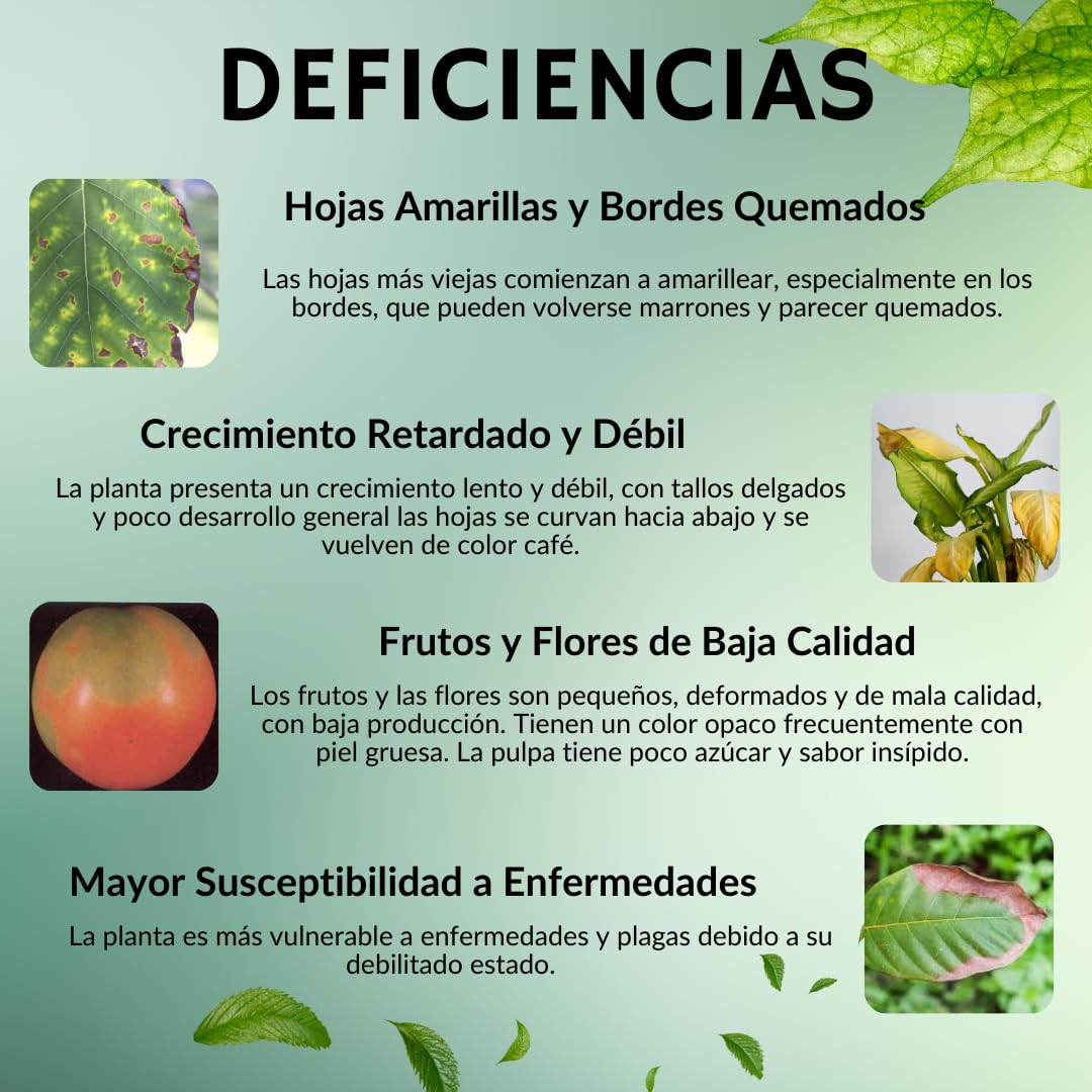 Sulfato Potásico para Jardín y Huerto - Fertilizante de Potásio y Azufre para todo tipo de Plantas Mejora Crecimiento y Producción, Nutriente esencial 1KG