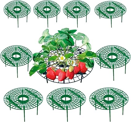 Amazon Co Jp S Fields Inc イチゴ棚 10個セット いちごプランター棚 苺苗棚 栽培棚 支え棚 園芸支柱 トマト ナス 花サポートステーク ガーデニング用支柱 フラワーブラケット ガーデニングツール ガーデニングトレイ ガーデニングラック 園芸支柱サポーター ガーデン