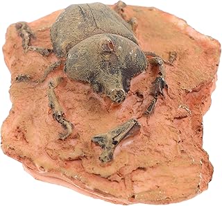 iplusmile Specimen Practical Childrens Toys Ornament Animal Figures for Kid Simulated Beetle Figure Insect Specimen Desert Decorations Pendant Decorate