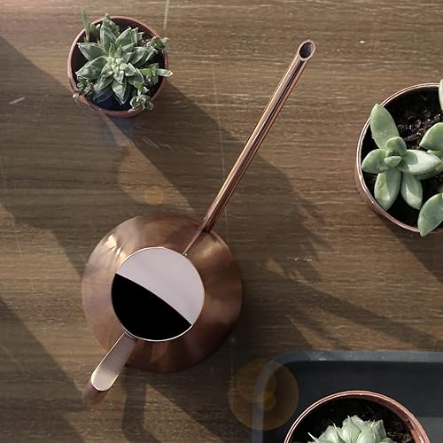 Miniatura 4 de Regadera para plantas de interior, de acero inoxidable, boquilla larga y estrecha, para el hogar, jardín, patio, patio (S)