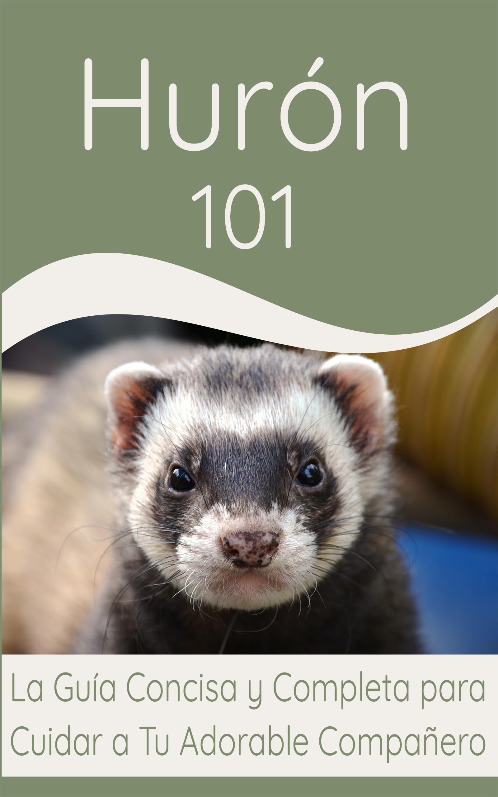 Hurón: 101 La Guía Concisa y Completa para Cuidar a Tu Adorable Compañero (Spanish Edition)