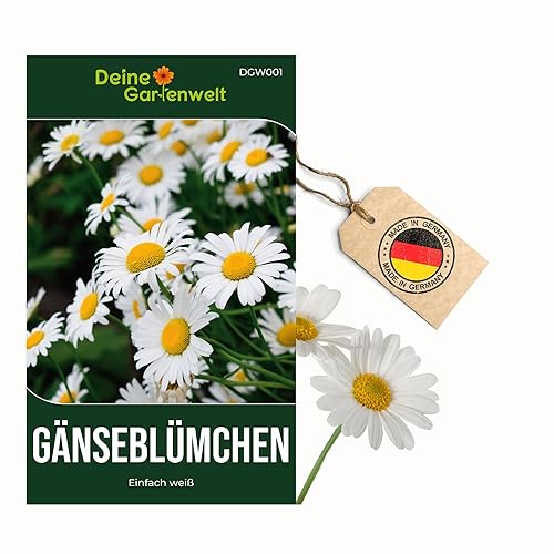 Gänseblümchen Einfach weiß Samen - Bellis perennis - Gänseblümchensamen - Blumensamen - Saatgut für 300 Pflanzen