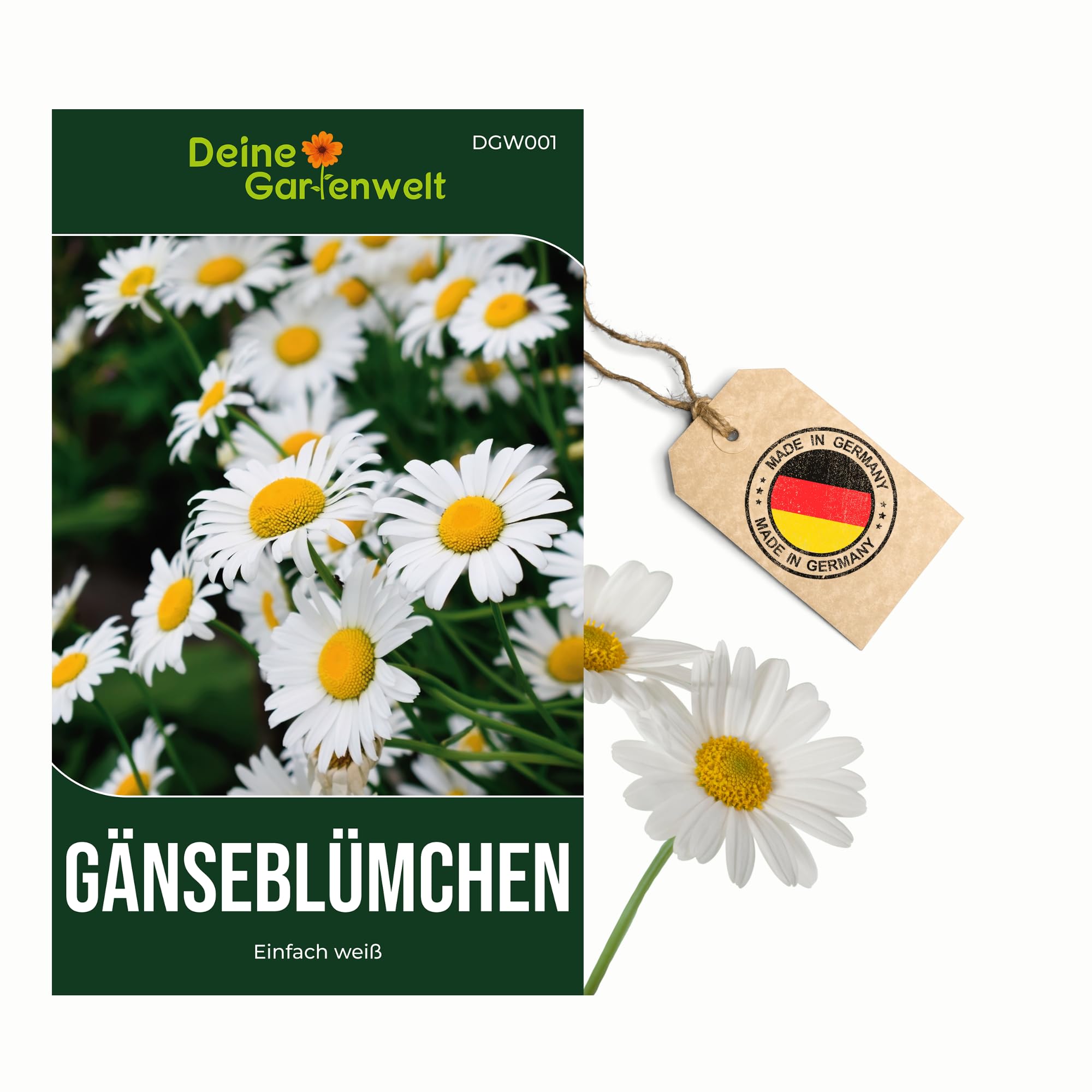 Gänseblümchen Einfach weiß Samen - Bellis perennis - Gänseblümchensamen - Blumensamen - Saatgut für 300 Pflanzen