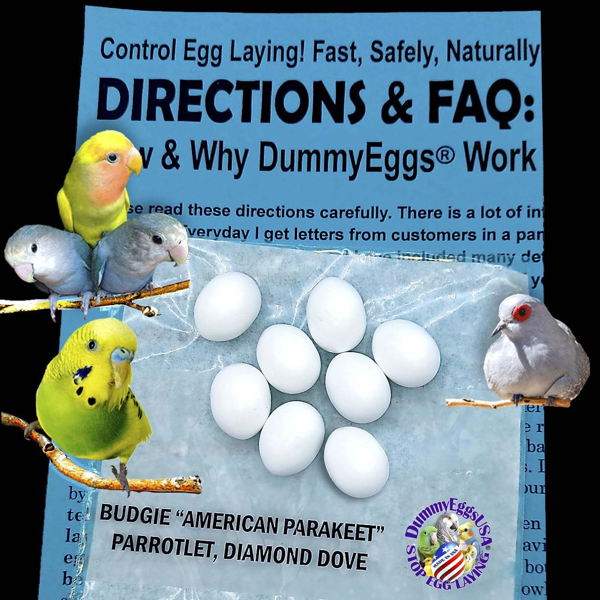 Plastic Budgie Eggs Stop Brooding & Laying! 8 Dummy Eggs for Budgerigar Parakeet, Parrotlet, Diamond Dove. Solid Safe - USA