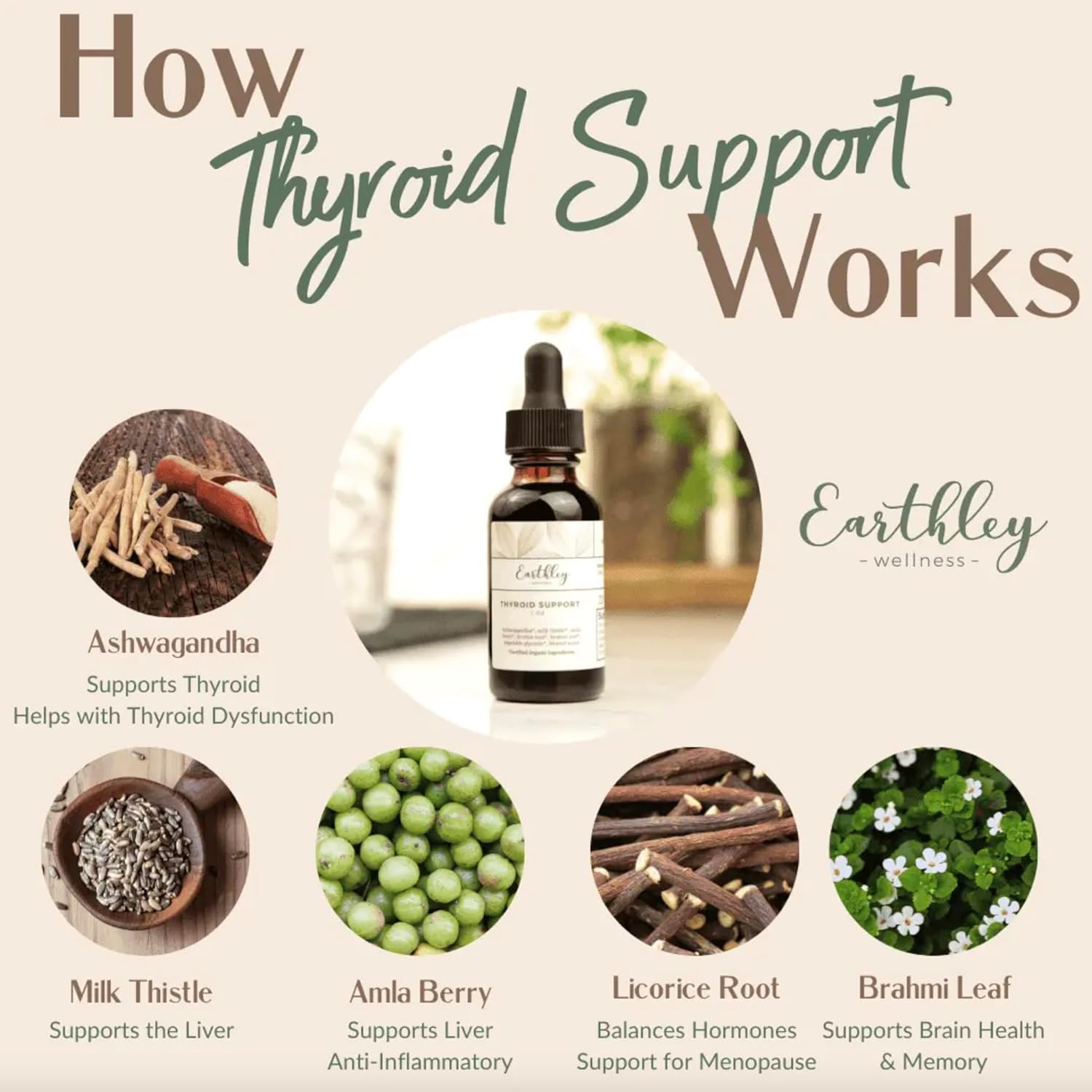 Earthley Wellness Thyroid Support Tincture, Organic Herbal Supplement for Thyroid Health, Hormonal Balance & Immune Support, Ashwagandha, Milk Thistle, Amla Berry, Licorice & Brahmi (4oz, 240+ doses)