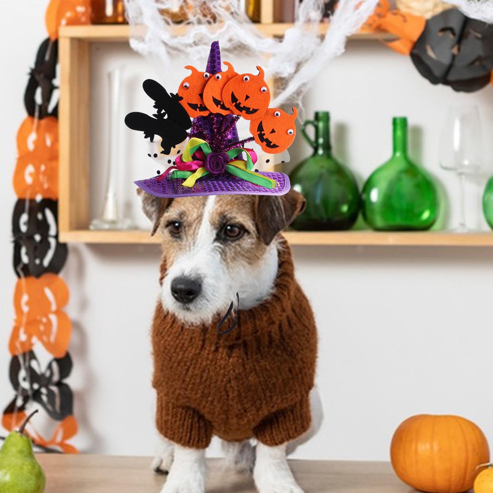 Costume Halloween Per Cani E Gatti - Cappello Zucca E Bandana, Regolabile, Morbido, Per Taglie Piccole, Medie E Grandi