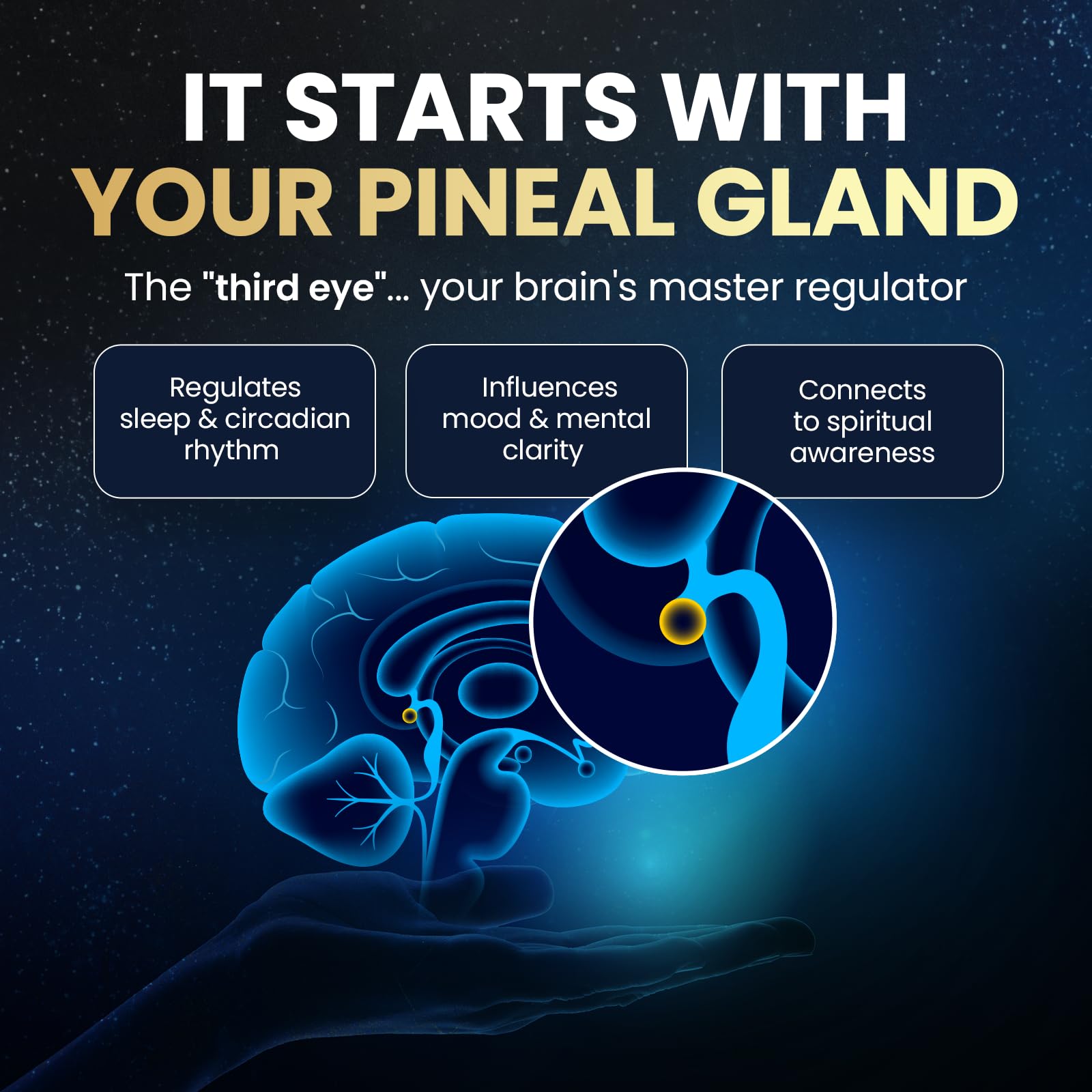 Pineal XT Gold Pineal Gland Supplement, Third Eye Awakening, 3 Pack — Amazon image 4
