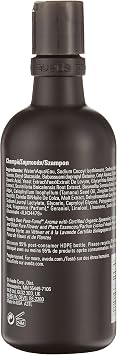 Aveda Mens Pure-Formance Şampuan 300 ml