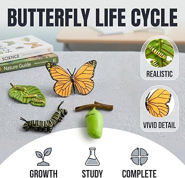 4PCS Insect Models Butterfly Life Cycle Model, Insect Growth Model, and Science Education Toys, Suitable for Classroom Teaching and Natural History Collections