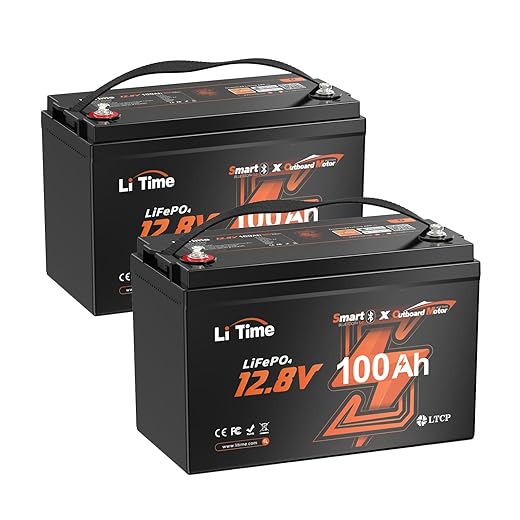 LiTime 12V 100Ah LiFePO4 Lithium Battery (2-Pack), 4000~15000 Deep Cycle Lithium Iron Phosphate Battery, Built-in 100A BMS, Support in Series/Parallel, for RV, Camping, Marine, Trolling Motor, Solar