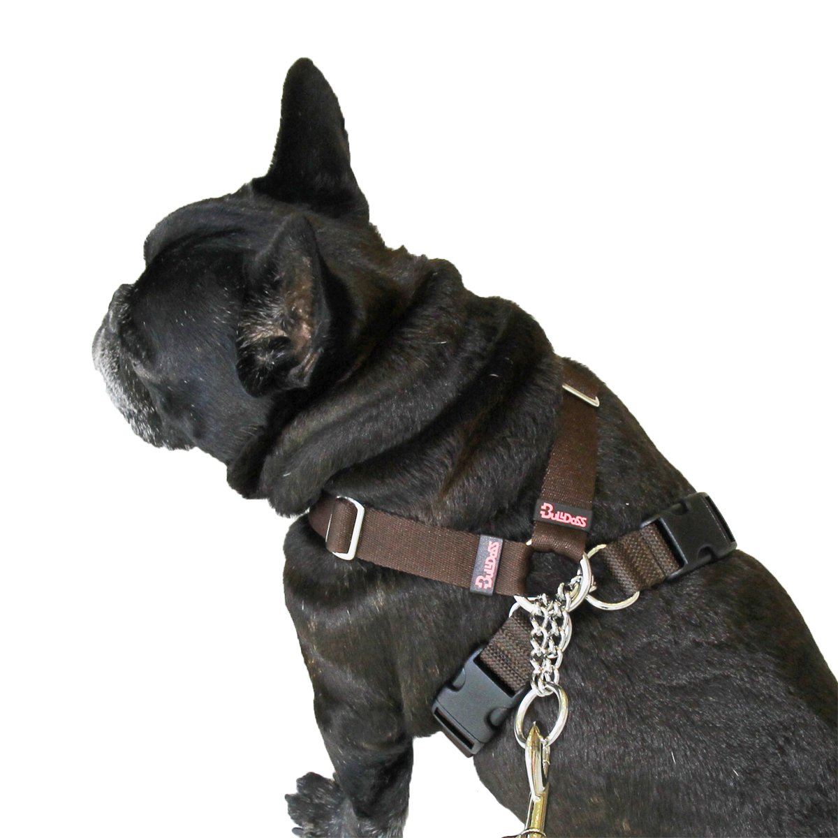 Amazon.co.jp: ブルドス (Bulldoss) チョークハーネス その他 ブラウン