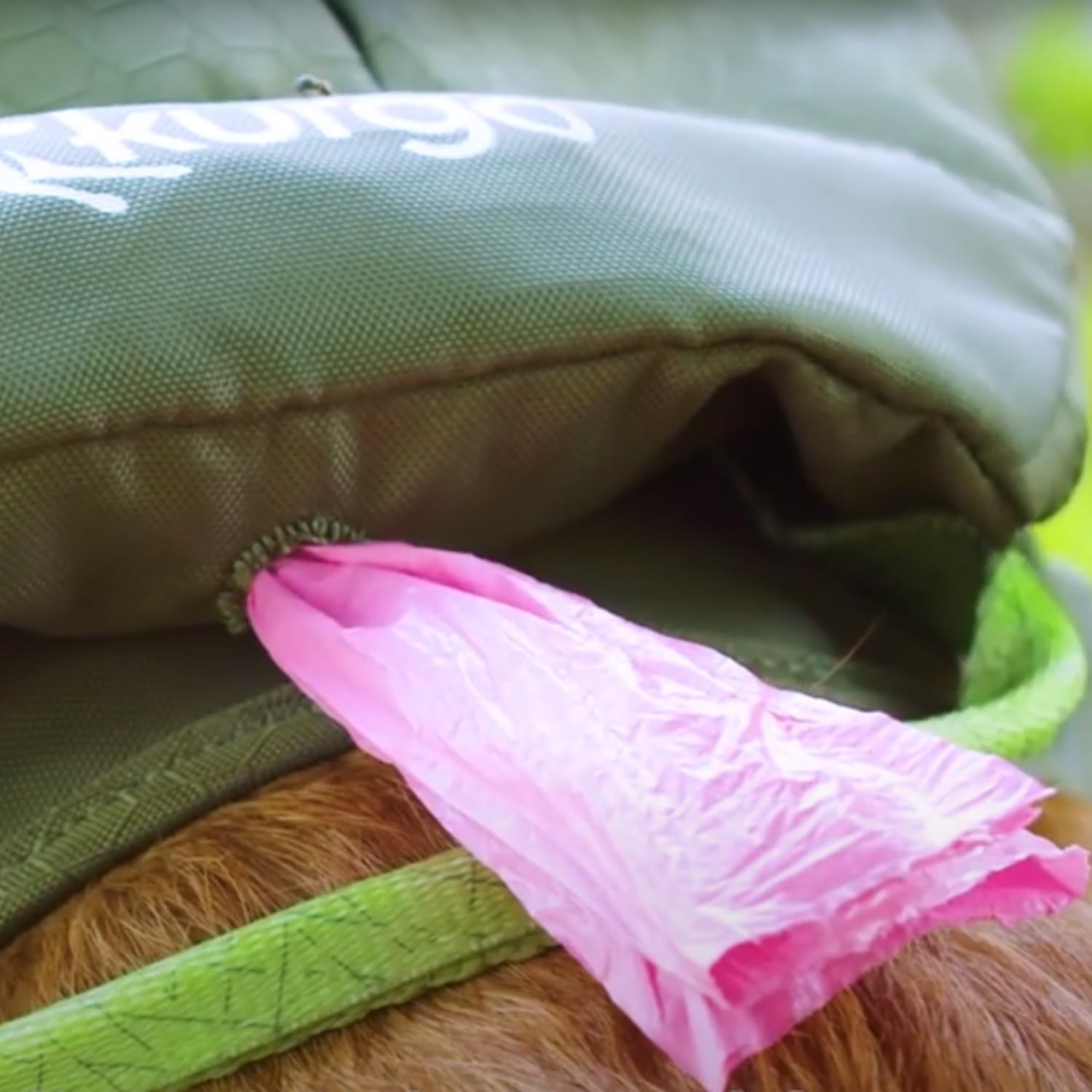 Kurgo Harnais Cascade pour Chien - Sac à Dos de Randonnée et Camping pour Animal de Compagnie, Taille M, Vert