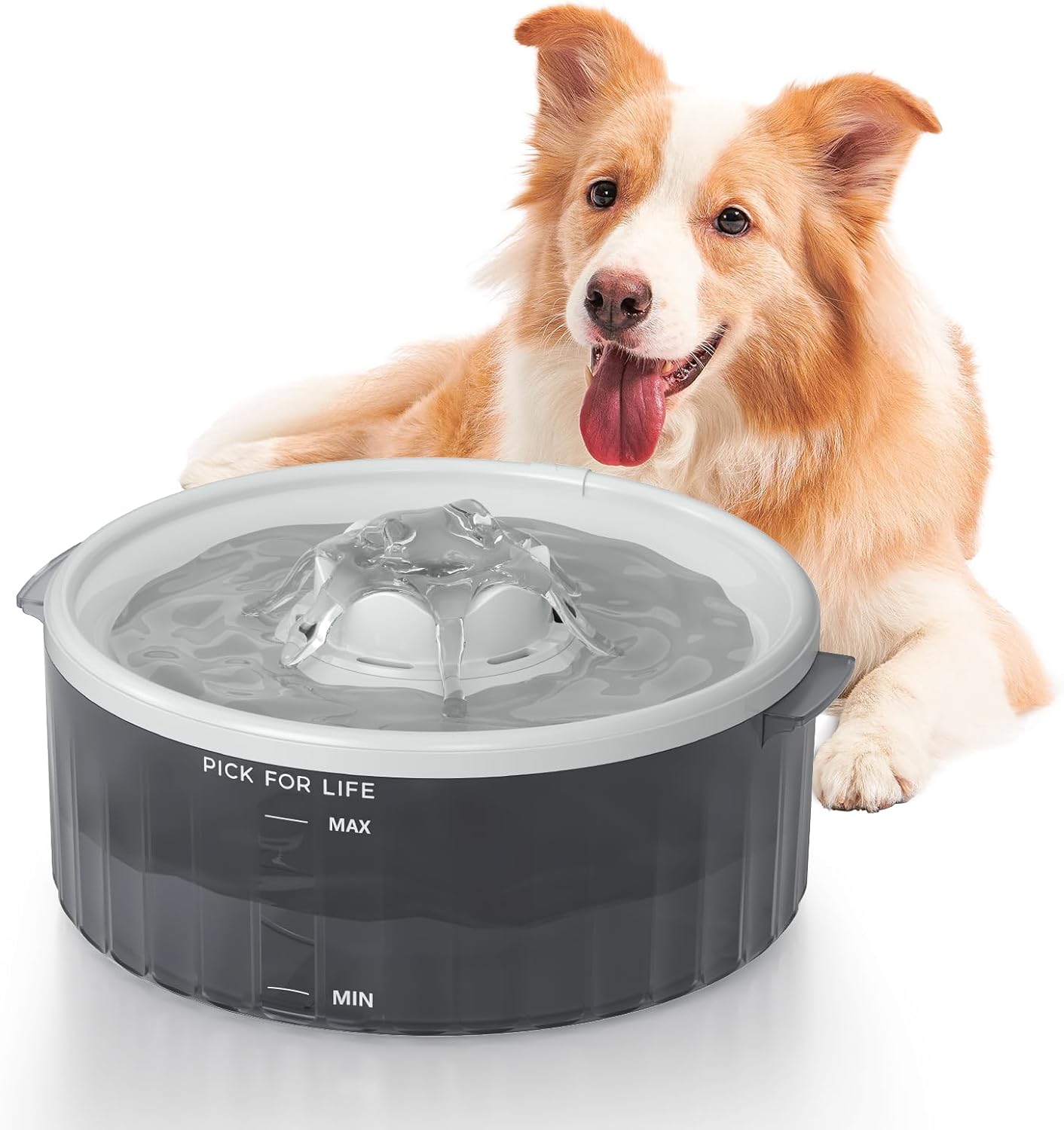 Gugxiom Outdoor Trinkbrunnen Für Hunde - Pfotenaktiviert Mit Trittfunktion Für Frisches Wasser