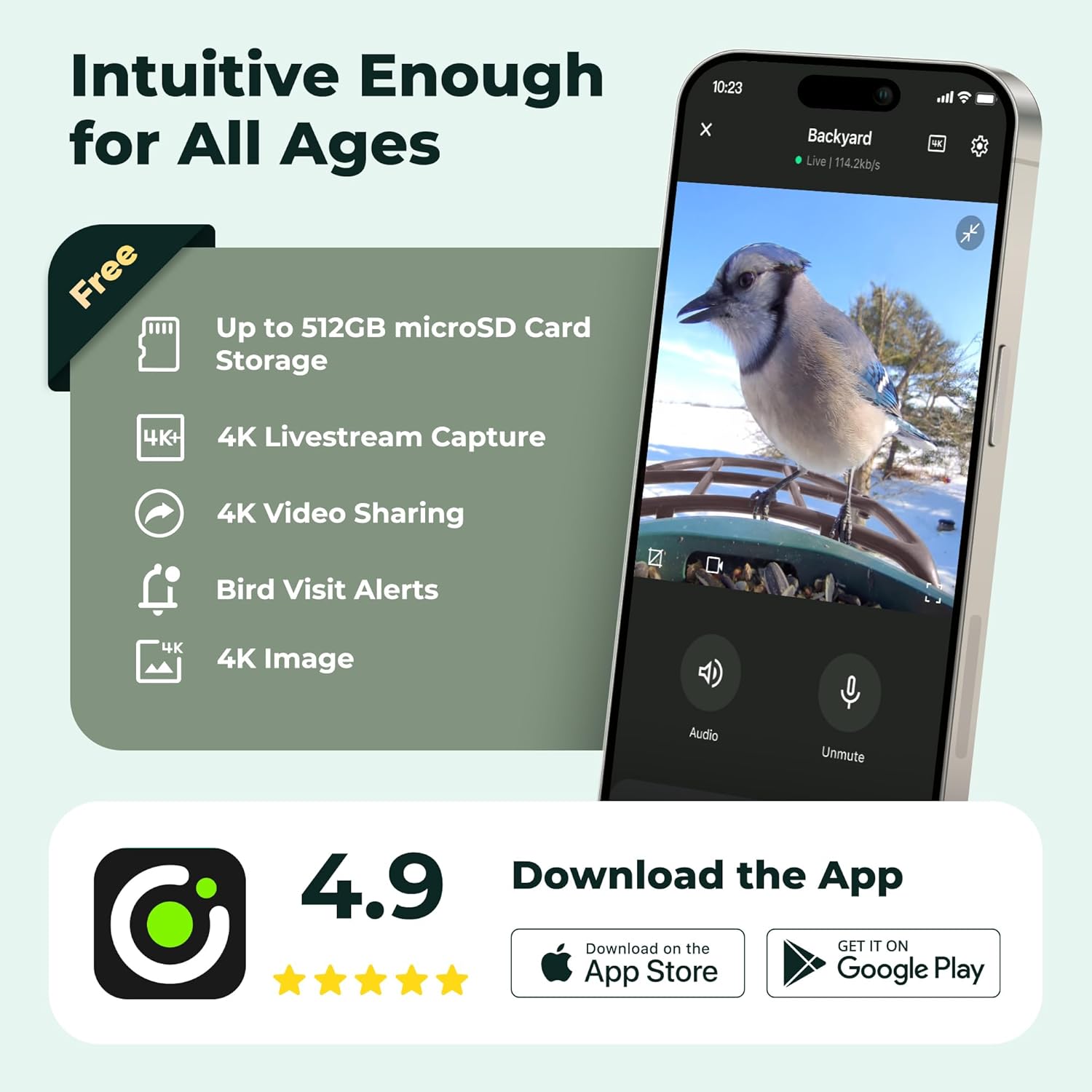 Kiwibit Solar Smart Bird Feeder with Camera - No Subscription, AI Bird Identification Included, 4K HD Live Video & 8MP Photos, Wireless Outdoor Wild Bird Watching Gifts for Bird Lovers, Brown