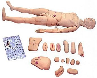 Model Medical Mannequin for Training, Patient Care Manikin Teaching Nursing Medical School Patient Care 170cm Full Body for Students Education Teaching Medical Training Skills