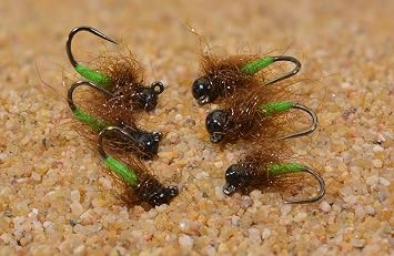 6 Flies - Tungsten Jigged Caddis Jig Head Fly - Euro Nymph - Hanak Hook