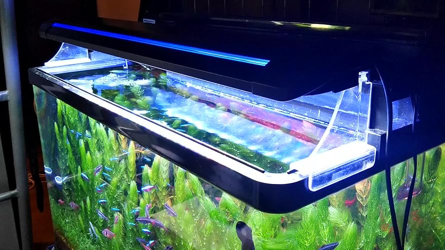 Amazon | ニッソー LED PGライナー600 ブラック | ニッソー | ライト
