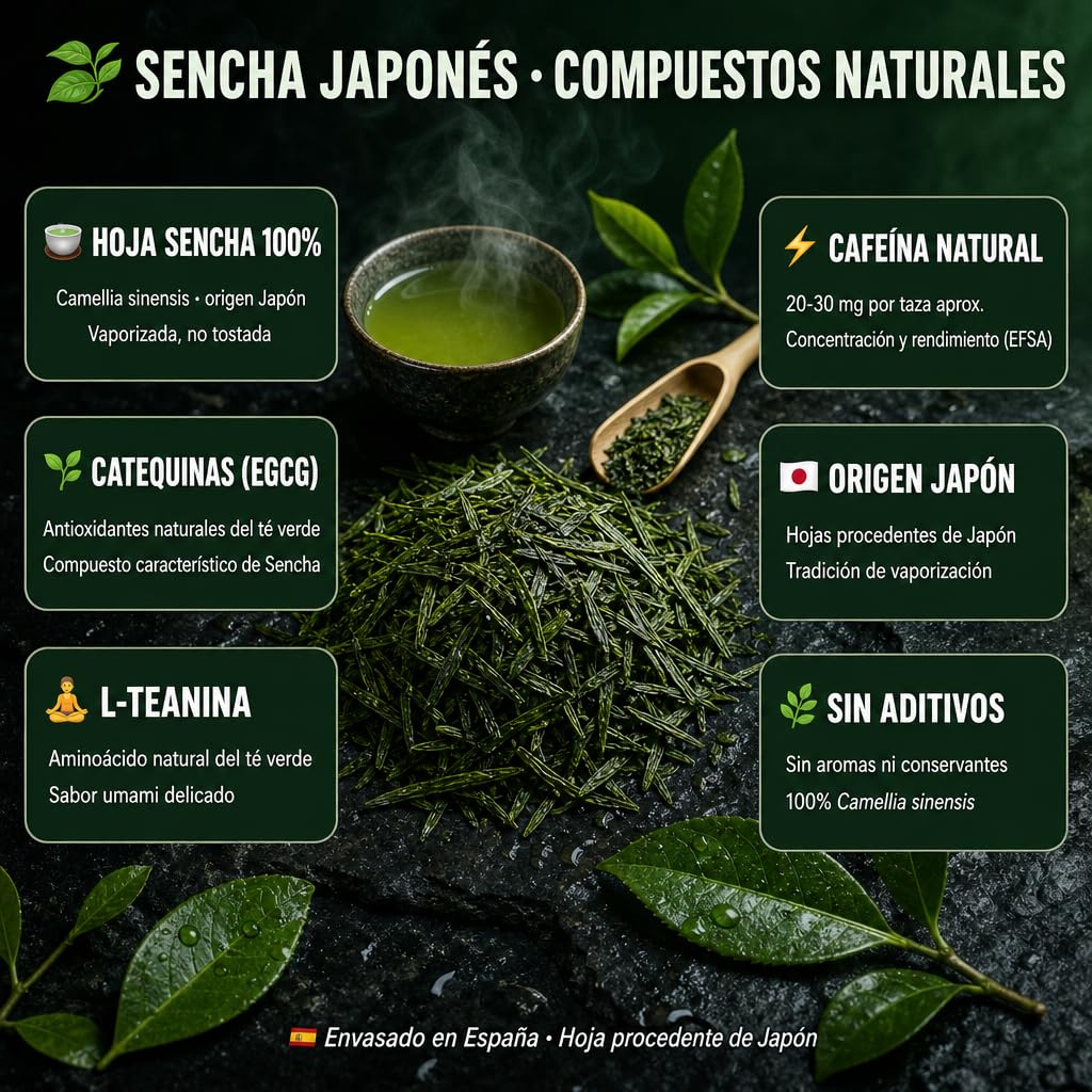 Té Verde Sencha Japonés 100% Natural y Orgánico. Potente Quemagrasas con Efecto Adelgazante y alto contenido de Antioxidantes (refuerza tu Sistema Inmunológico). Detox Té.